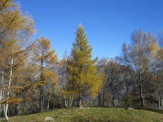 Il bel ripiano di Montat