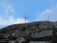 L'ultimo tratto di salita verso il Chiappozzo