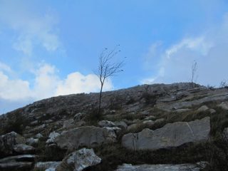 L'ultimo tratto di salita verso il Chiappozzo