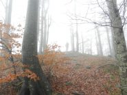 Gli ultimi metri verso la vetta dello Zatta di Levante