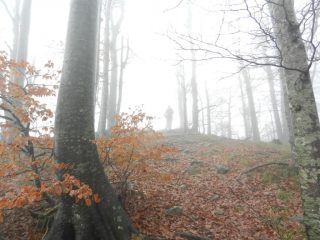 Gli ultimi metri verso la vetta dello Zatta di Levante
