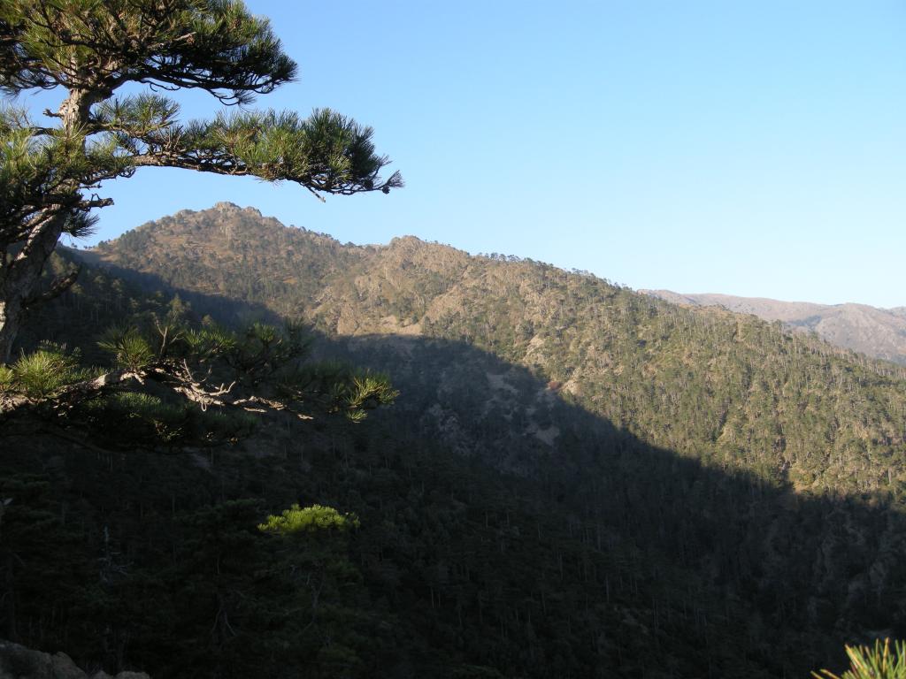 il profilo della cresta visto dal sentiero stella bianca lungo la discesa