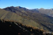 Il meraviglioso bosco delle Navette