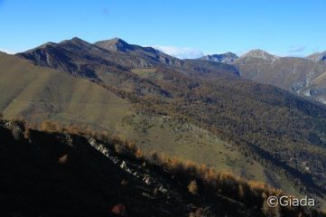 Il meraviglioso bosco delle Navette
