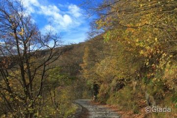 Lungo la strada del Garezzo con i bei colori autunnali