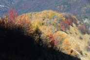 Tavolozza autunnale della natura