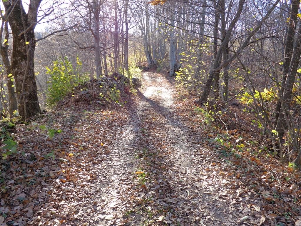 strada per cima saben
