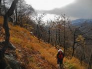 verso l'aragno
