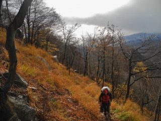 verso l'aragno