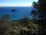 L'Isola Gallinara fa capolino tra gli ulivi