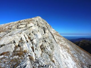 quasi in cima