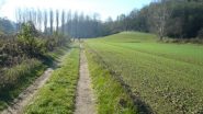 lugo i valloncelli