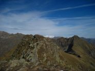 Panorama sulla Verzel- sullo sfondo il Monterosa