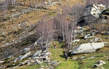 Superata l'alpe Cialma