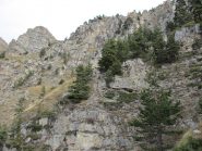 Appena si esce dalla pineta