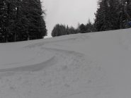 03 - gran bella neve... 20-30cm di fresca tra i 2300 ed i 2000 (1024x768)