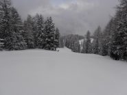 04 - tutto vergine, aspetta soltanto me... (1024x768)