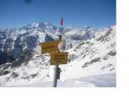Il massiccio del Rosa dalla Bocchetta delle Vacche..