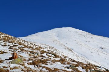 arrivo allo spallone da percorrere fino all'anticima