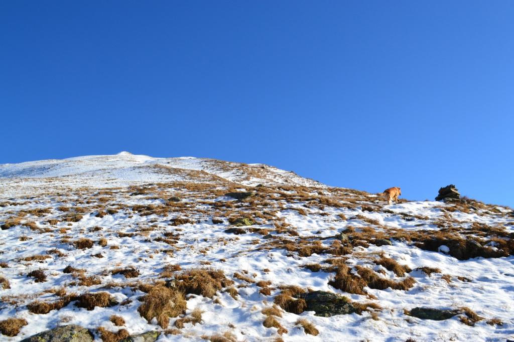 la meta è ben visibile