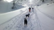 arriva ancheil sole