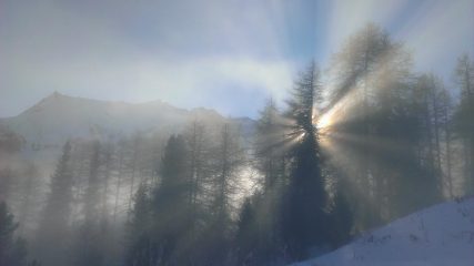 prime luci tra le nebbie 