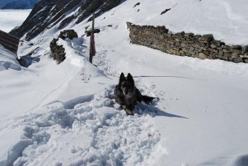 Frank alla Capanna Gran Plan