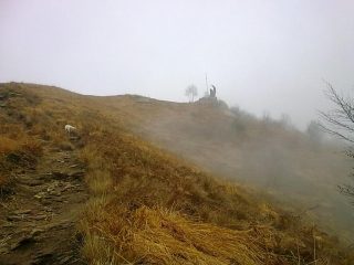 freidour