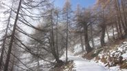 stiamo uscendo dalla coltre nuvolosa e dalla nebbia...(17-11-2013)
