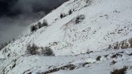 Salgo diritto per i l ripido versante W completamente innevato