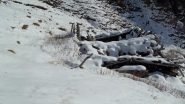 Alpe Larone (ruderi)