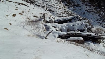 Alpe Larone (ruderi)