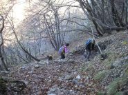 zona boschiva alla partenza 