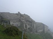 Atmosfera ovattata a Cappia