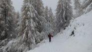 Un pò di neve 