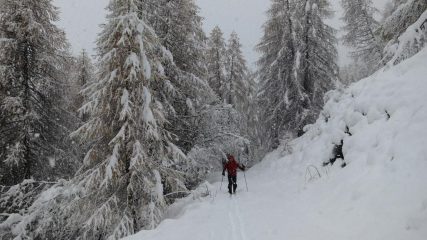 Un pò di neve 
