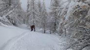 Neve discreta