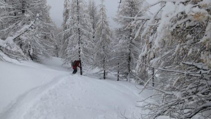 Neve discreta
