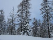 Finalmente Inverno