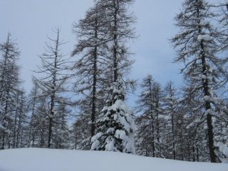 Finalmente Inverno