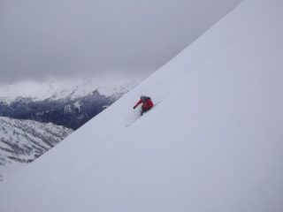 Dax immerso nella polvere...