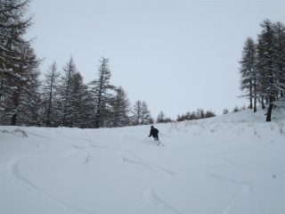 ci si diverte proprio