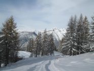 verso Clotes