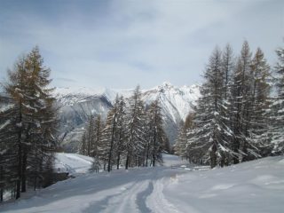 verso Clotes