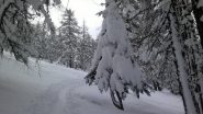 paesaggio invernale