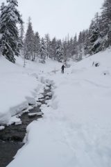 Traccia lungo il torrente