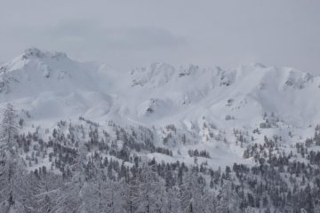 Verso il colletto Verde