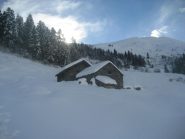 fuori dal bosco