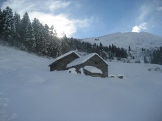 fuori dal bosco