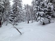 Libidinoso ripido canalino nella parte alta